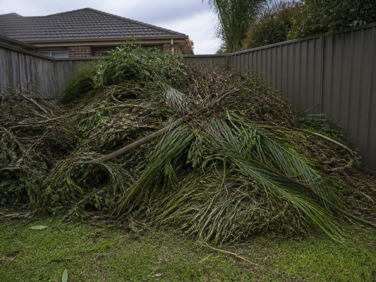 Large pile of branches, prunings and grass clippings in a suburban backyard